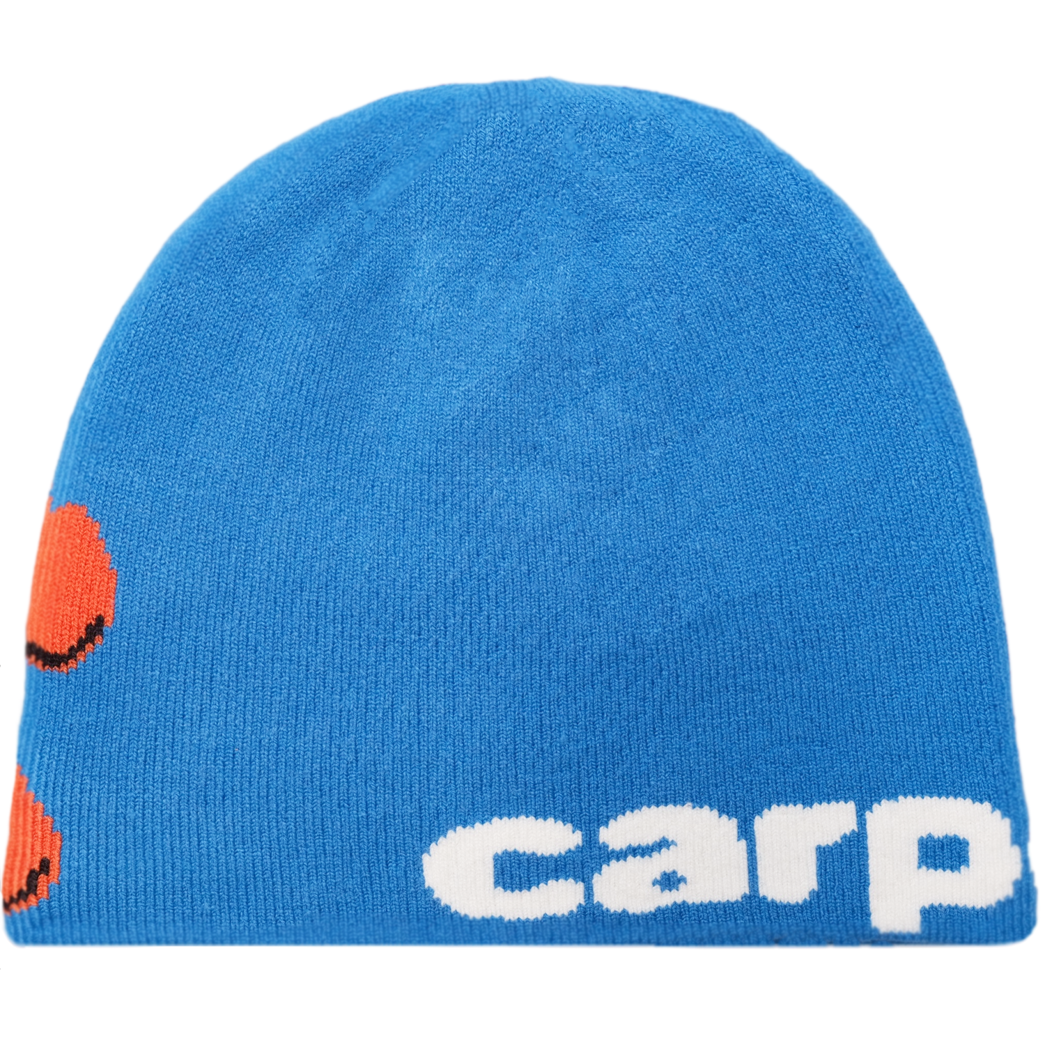 pasterビーニー Bacteria Reversible Beanie - Blue — Carpet Company